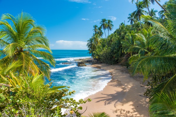 Tropical jungle and ocean views from one of Costa Rica's finest luxury villas.