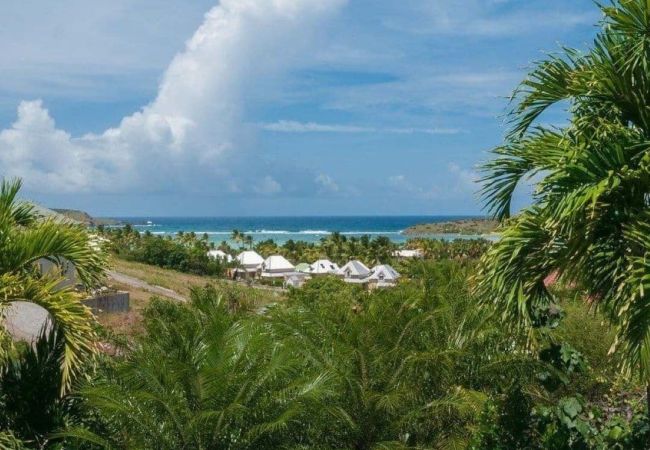 Villa en Saint Barthélemy - Villa Palm San Bartolomé 1-bd Villa en Saint Barthélemy - Villa Palm San Bartolomé 1-bd