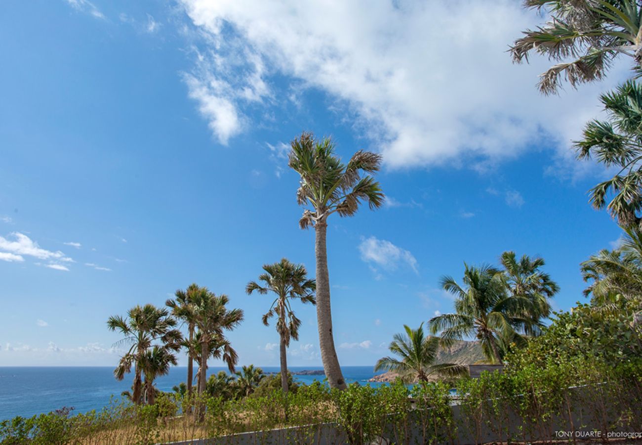 Villa en San Bartolomé - Villa Cacao San Bartolomé 3-bd