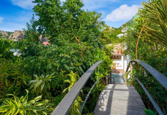 Villa en Saint Barthélemy - Lodge Liberty San Bartolomé 1-bd Villa en Saint Barthélemy - Lodge Liberty San Bartolomé 1-bd