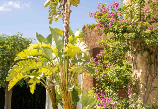 Villa en Sant Josep de Sa Talaia - Villa Comte Ibiza 4-bd Villa en Sant Josep de Sa Talaia - Villa Comte Ibiza 4-bd