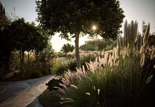 Finca en Zakinthos - Butterflies Zanta Estate Zakynthos 7-bd Finca en Zakinthos - Butterflies Zanta Estate Zakynthos 7-bd