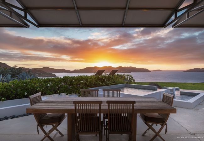 Villa en Saint Barthélemy - Villa Seaweed San Bartolomé 2-BD Villa en Saint Barthélemy - Villa Seaweed San Bartolomé 2-BD
