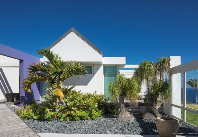Villa en Saint Barthélemy - Villa Seaweed San Bartolomé 2-BD Villa en Saint Barthélemy - Villa Seaweed San Bartolomé 2-BD