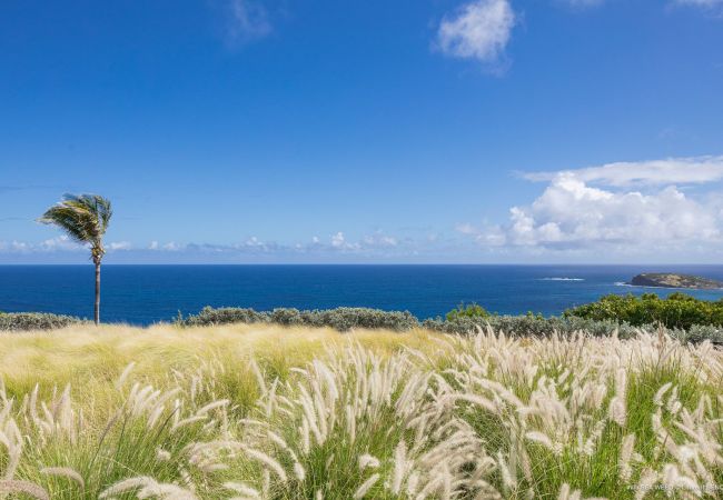 Villa en Saint Barthélemy - Villa Seaweed San Bartolomé 2-BD Villa en Saint Barthélemy - Villa Seaweed San Bartolomé 2-BD