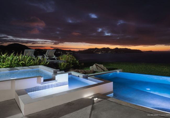 Villa en Saint Barthélemy - Villa Seaweed San Bartolomé 1-bd Villa en Saint Barthélemy - Villa Seaweed San Bartolomé 1-bd