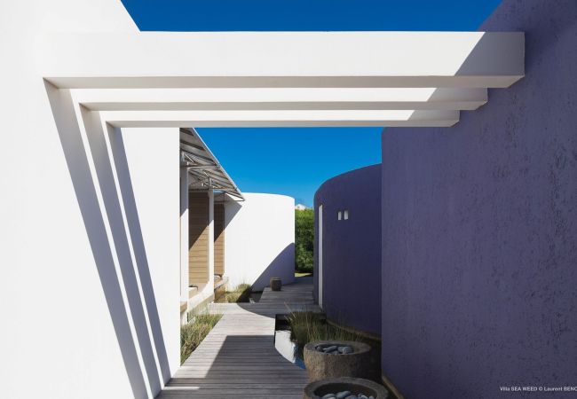 Villa en Saint Barthélemy - Villa Seaweed San Bartolomé 1-bd Villa en Saint Barthélemy - Villa Seaweed San Bartolomé 1-bd