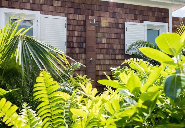 Finca en Saint Barthélemy - Wild Blue Estate San Bartolomé 7-bd Finca en Saint Barthélemy - Wild Blue Estate San Bartolomé 7-bd