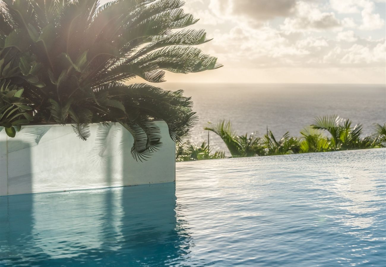 Villa à Saint Barthélemy - Villa Rose Dog St Barth 4-bd