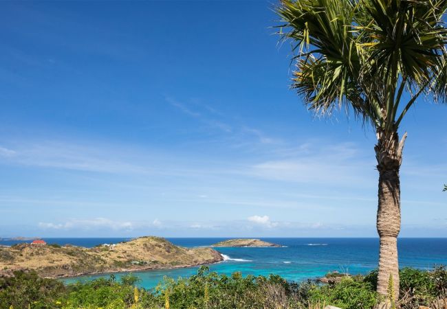 Villa à Saint Barthélemy - Villa Endeavour St Barth 3-bd Villa à Saint Barthélemy - Villa Endeavour St Barth 3-bd