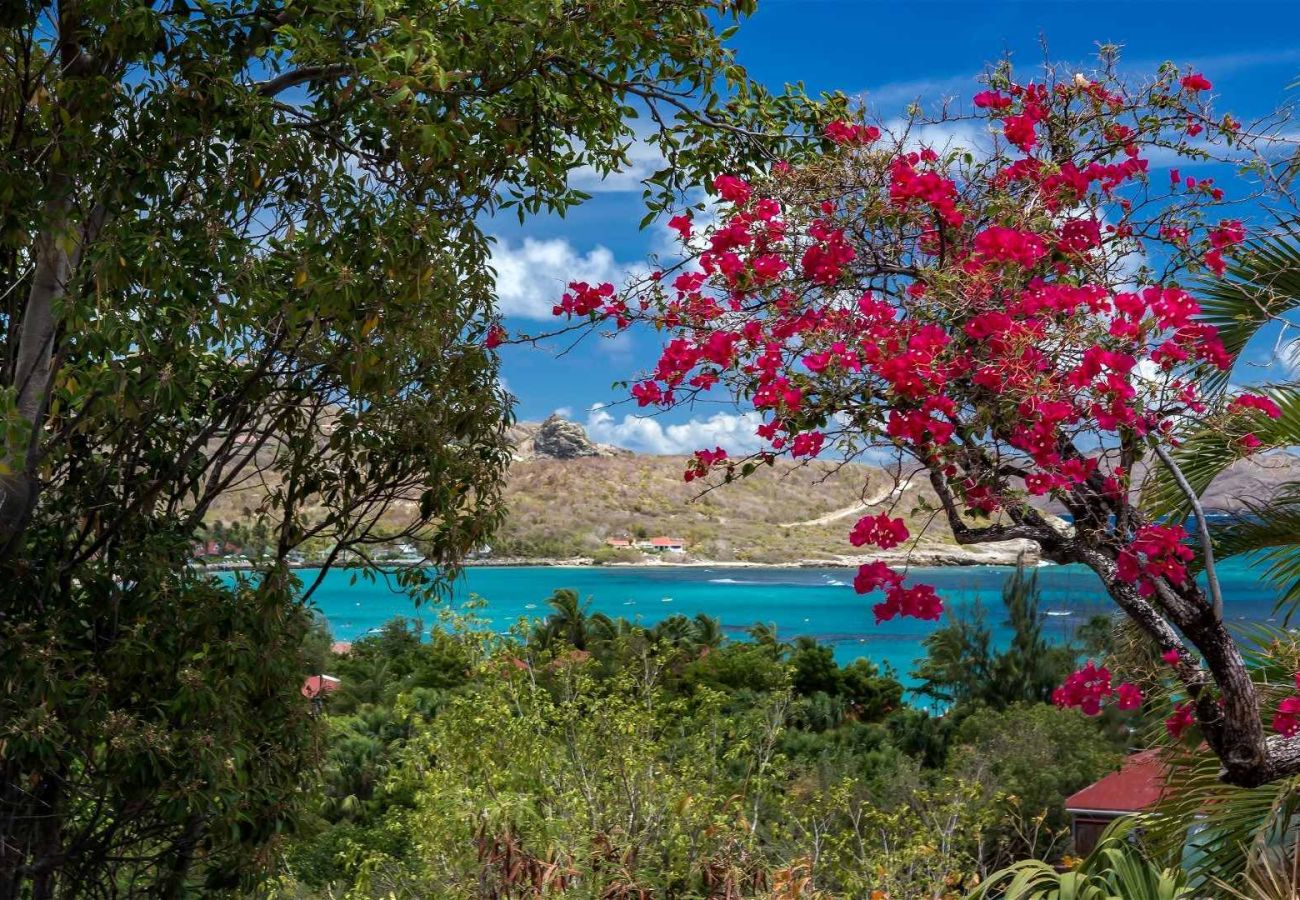 Villa à Saint Barthélemy - Villa Sas St Barth 2-bd
