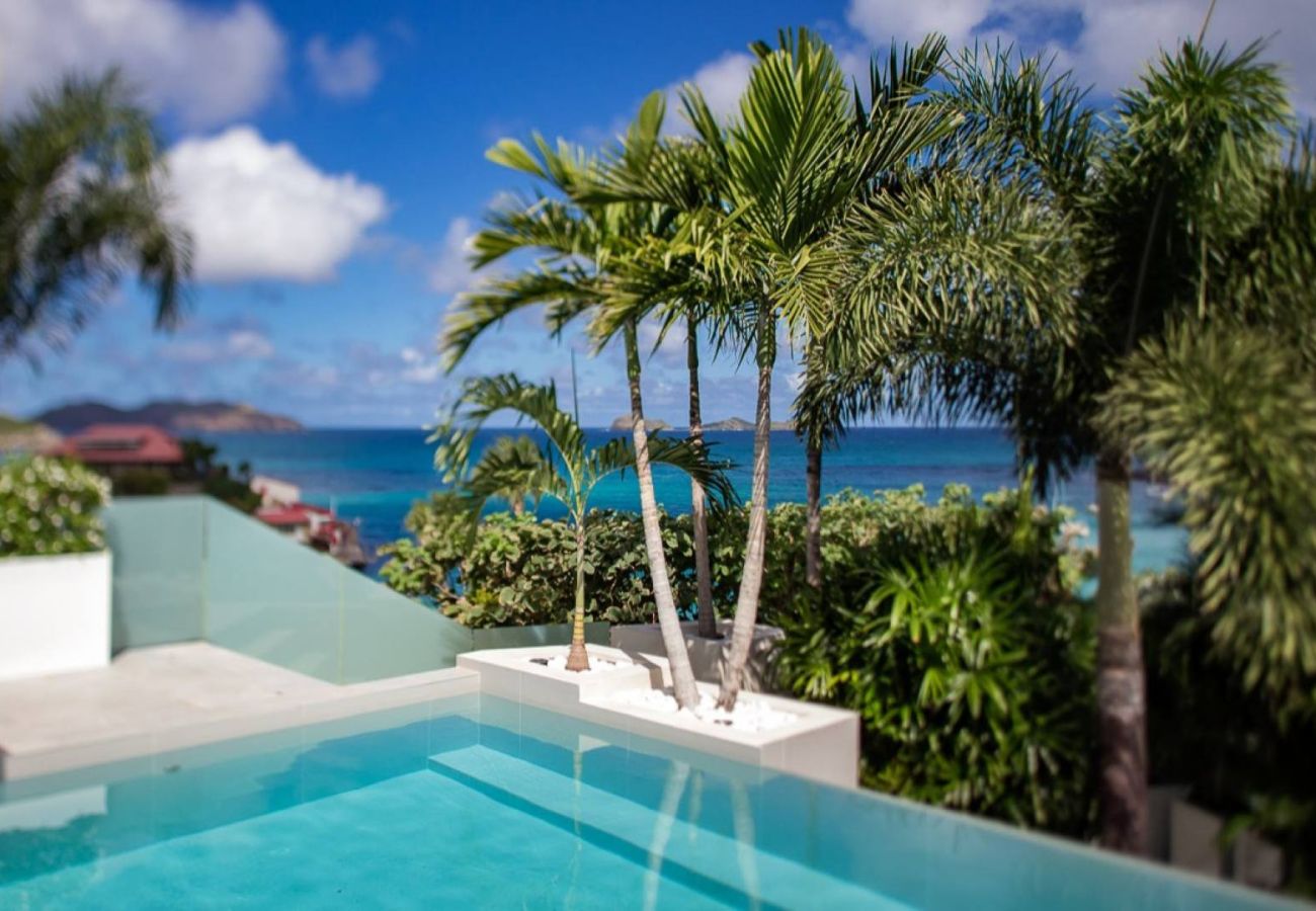 Villa à Saint Barthélemy - Villa Sax St Barth 3-bd