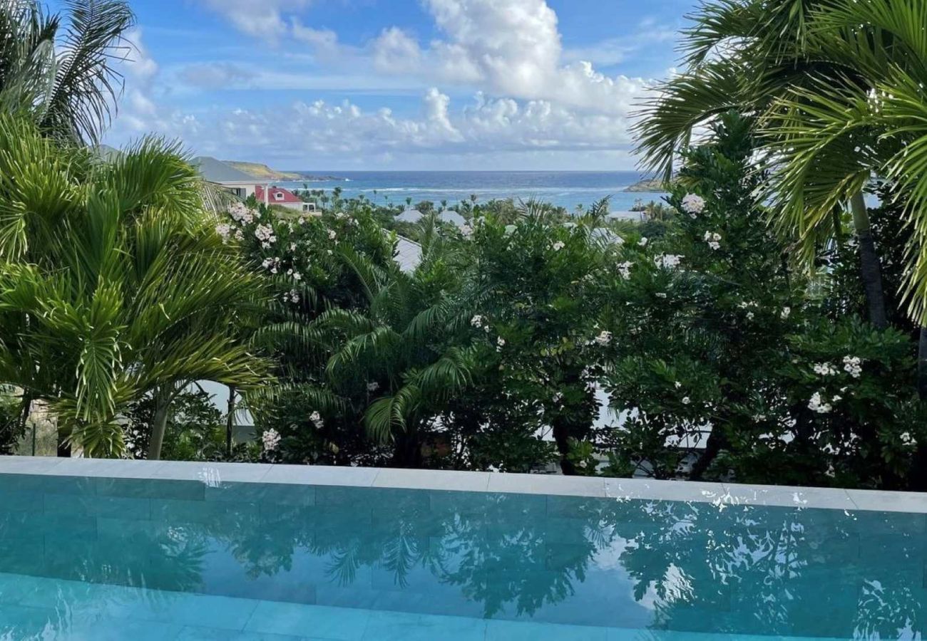 Villa à Saint Barthélemy - Villa Palm St Barth 2-bd