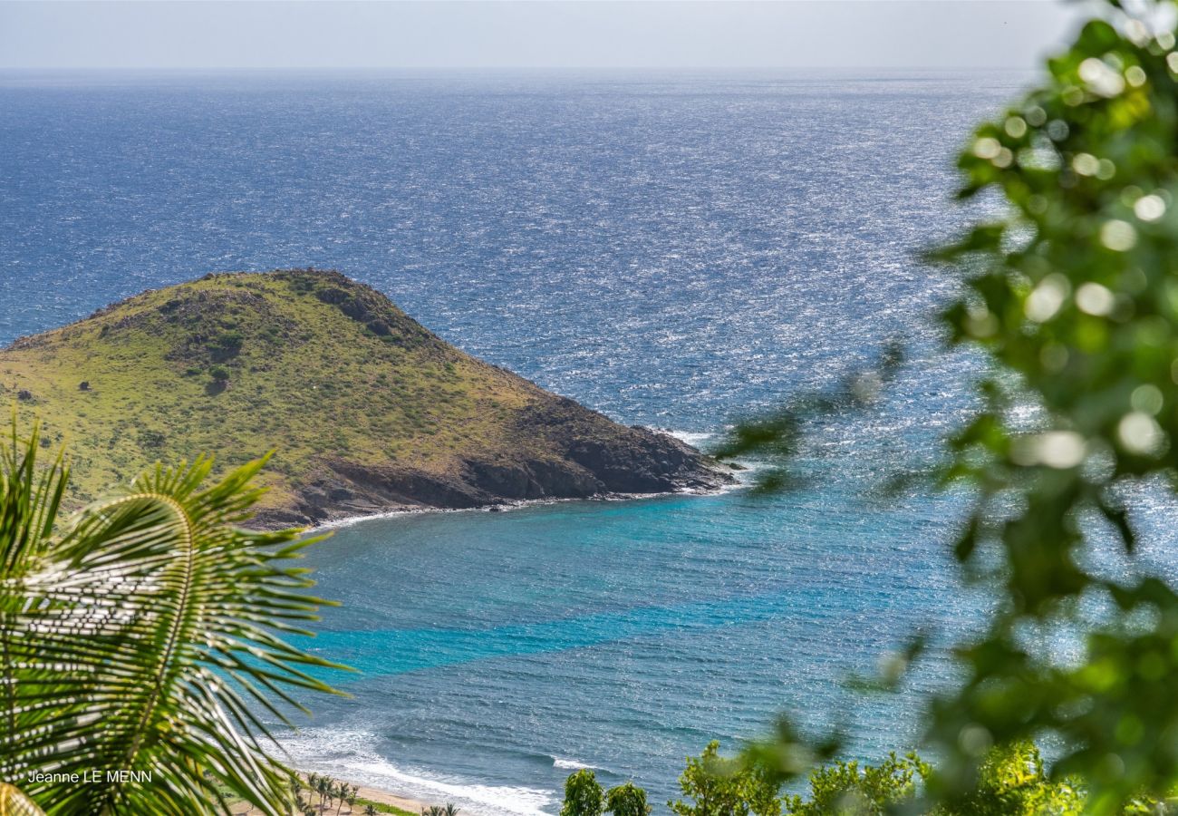 Villa à Saint Barthélemy - Villa Rose Dog St Barth 2-bd