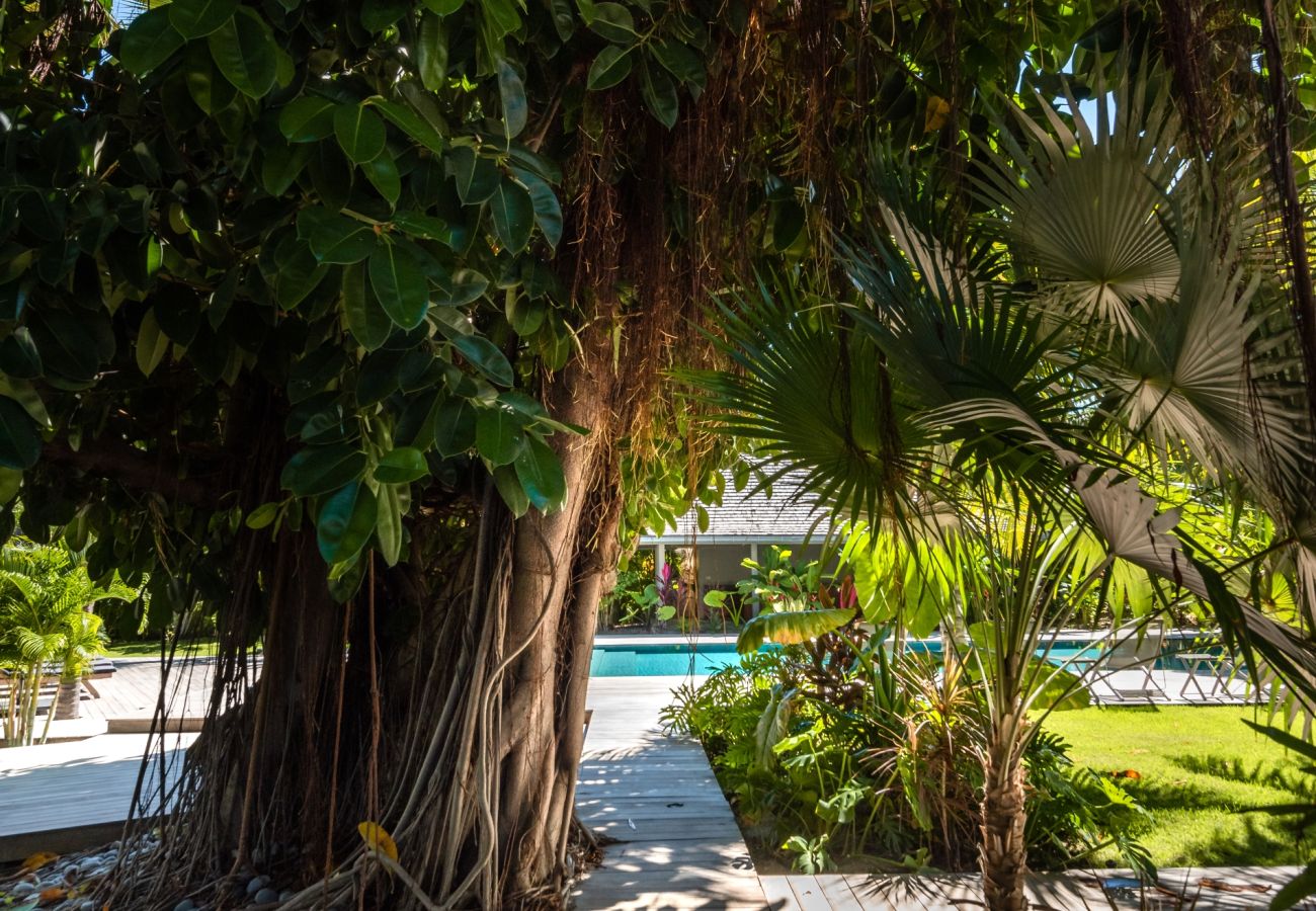Villa à Saint Barthélemy - Villa Manoir de Lorient St Barth 4-bd