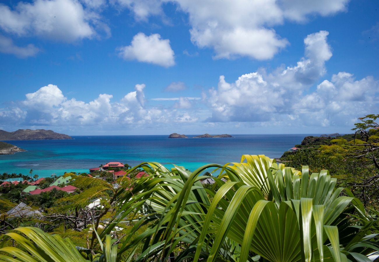 Villa à Saint Barthélemy - Villa Terre Indigo St Barth 2-bd