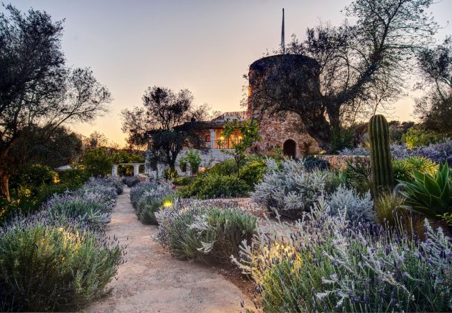 Villa à Sant Llorenç de Balafia - Villa San Lorenzo Fincadelica Ibiza 9-bd Villa à Sant Llorenç de Balafia - Villa San Lorenzo Fincadelica Ibiza 9-bd