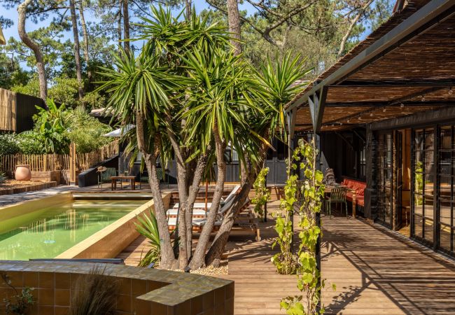 Villa à Lège-Cap-Ferret - Villa Le Coeur du Ferret Bassin d'Arcachon 8-bd Villa à Lège-Cap-Ferret - Villa Le Coeur du Ferret Bassin d'Arcachon 8-bd