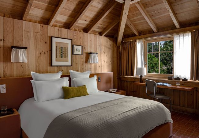 Villa à Lège-Cap-Ferret - Villa Le Coeur du Ferret Bassin d'Arcachon 8-bd Villa à Lège-Cap-Ferret - Villa Le Coeur du Ferret Bassin d'Arcachon 8-bd