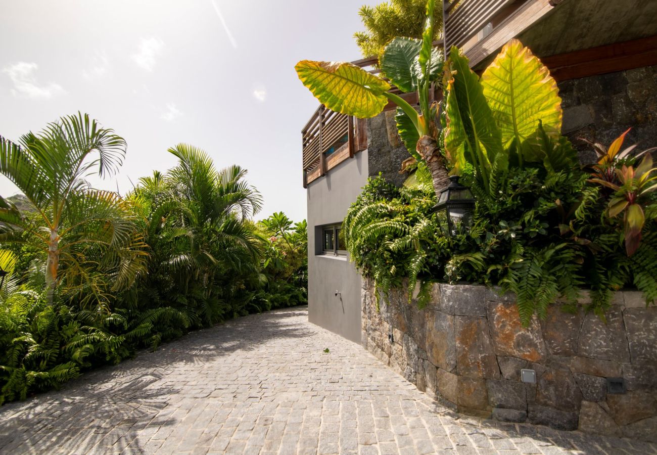 Villa à Saint Barthélemy - Villa Vogue St Barth 3-bd
