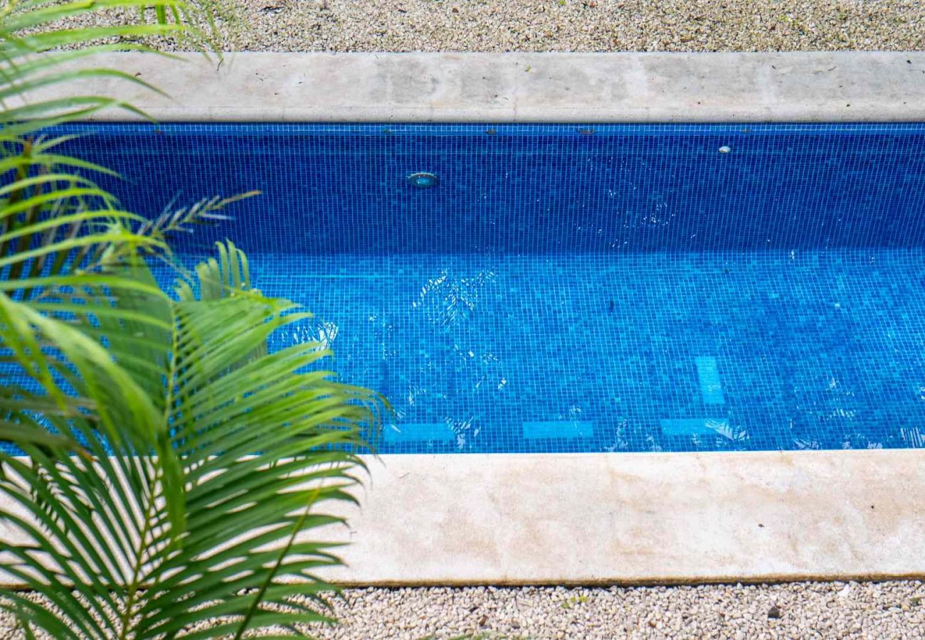Villa à Pinilla - Villa Holy Tree Santa Cruz Guanacaste 4-bd