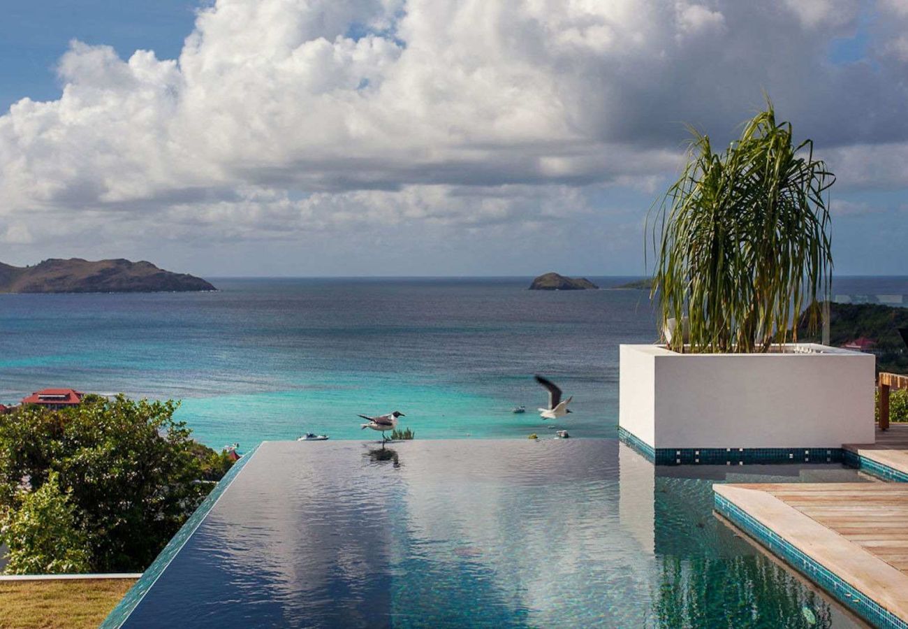 Villa à Saint Barthélemy - Villa Wings St Barth 4-bd