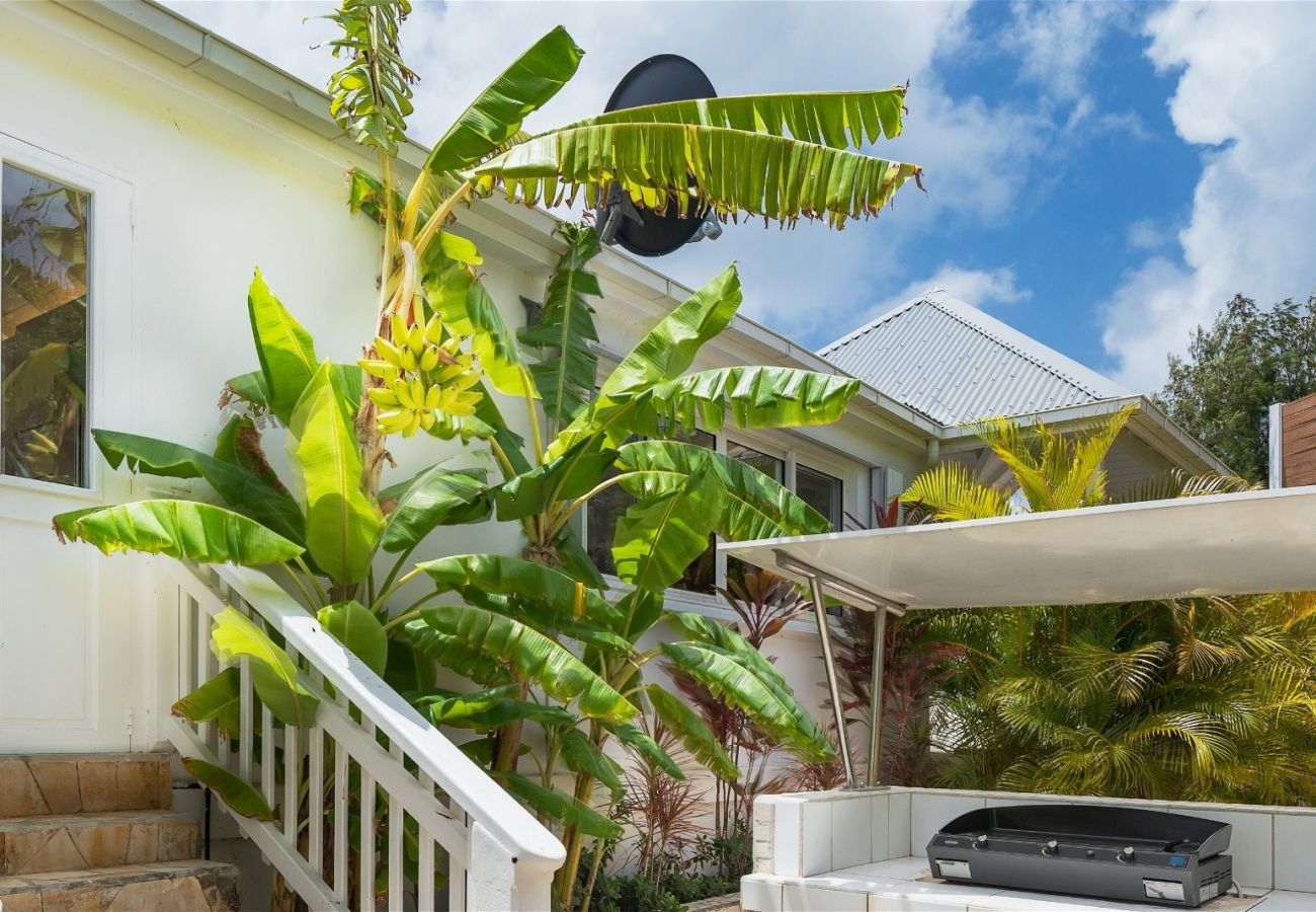 Villa in Saint Barthélemy - Villa Captain Cook St Barths 4-bd