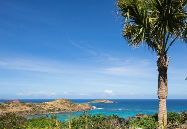 Villa in Saint Barthélemy -  VILLA ENDEAVOUR ST BARTHS 3-BD