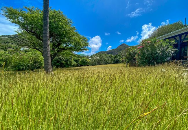 Villa in Saint Barthélemy - VILLA CHANTICLEER ST BARTHS 5-BD