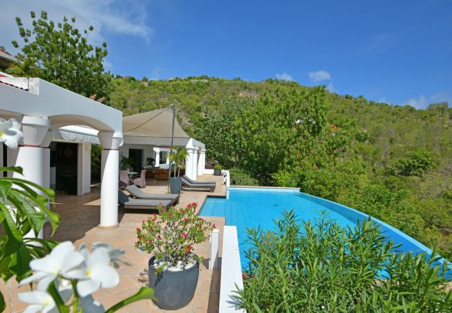 Villa in Saint Barthélemy -  VILLA URSULA ST BARTHS 2-BD