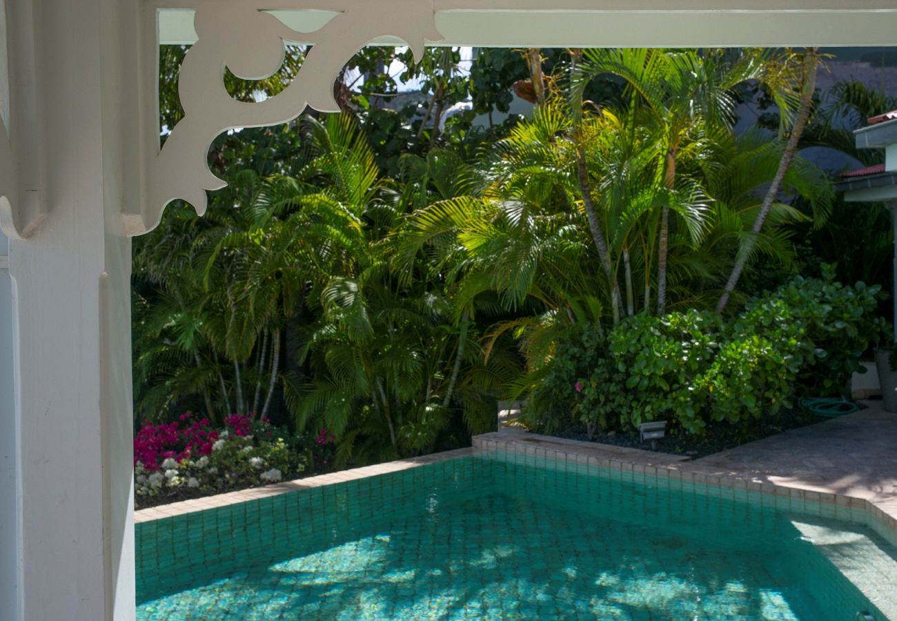 Villa in Saint Barthélemy - Villa Terre Indigo St Barths 4-bd