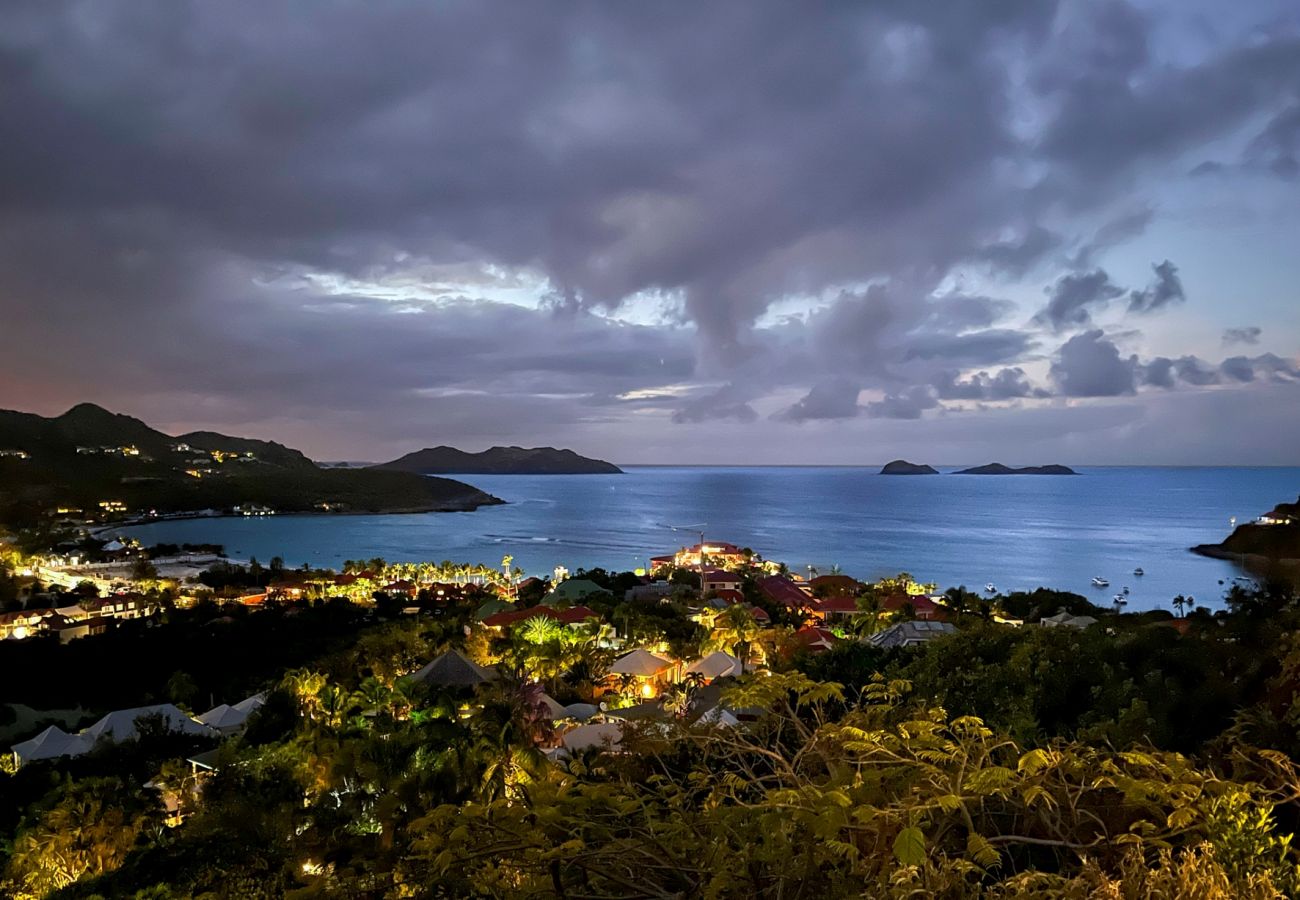 Villa in Saint Barthélemy - Villa Terre Indigo St Barths 4-bd