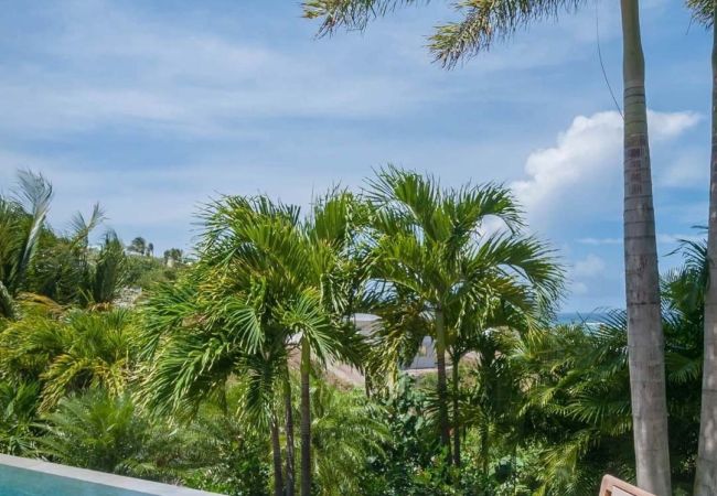 Villa in Saint Barthélemy - Villa Palm St Barths 2-bd Villa in Saint Barthélemy - Villa Palm St Barths 2-bd