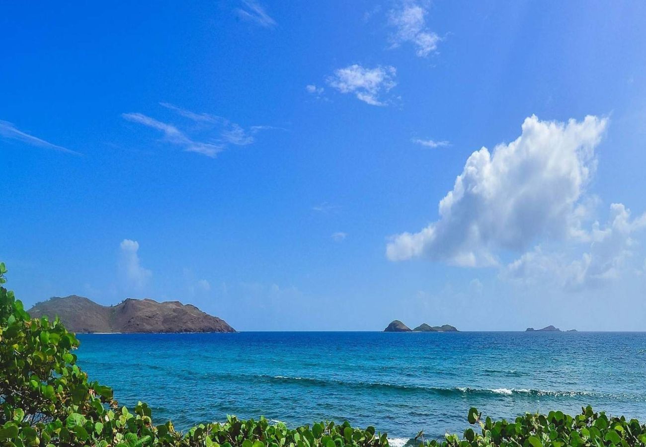 Villa in Saint Barthélemy - Villa Palm House St Barths 3-bd