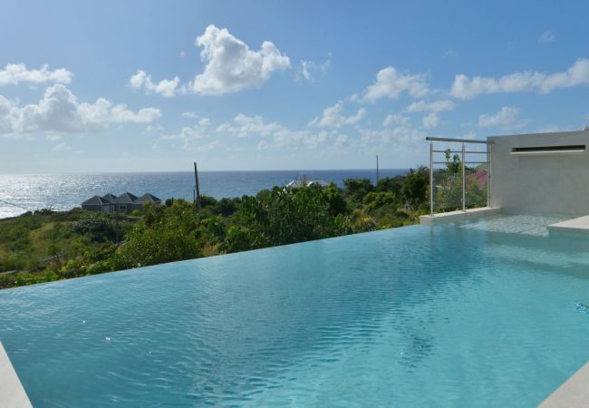 Villa in Saint Barthélemy - VILLA SOUTH WAVE ST BARTHS 1-BD