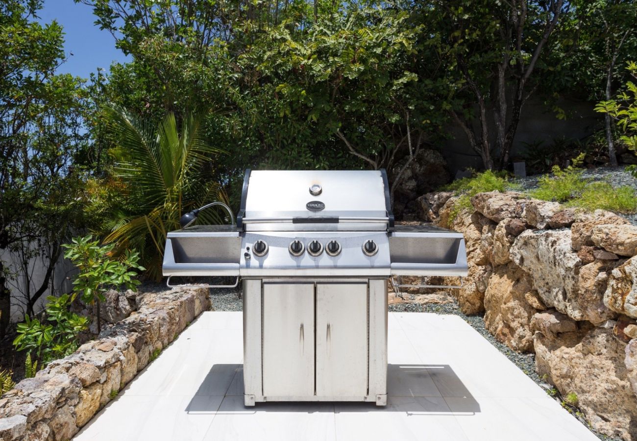 Villa in Saint Barthélemy - Villa Rose Dog St Barths 3-bd