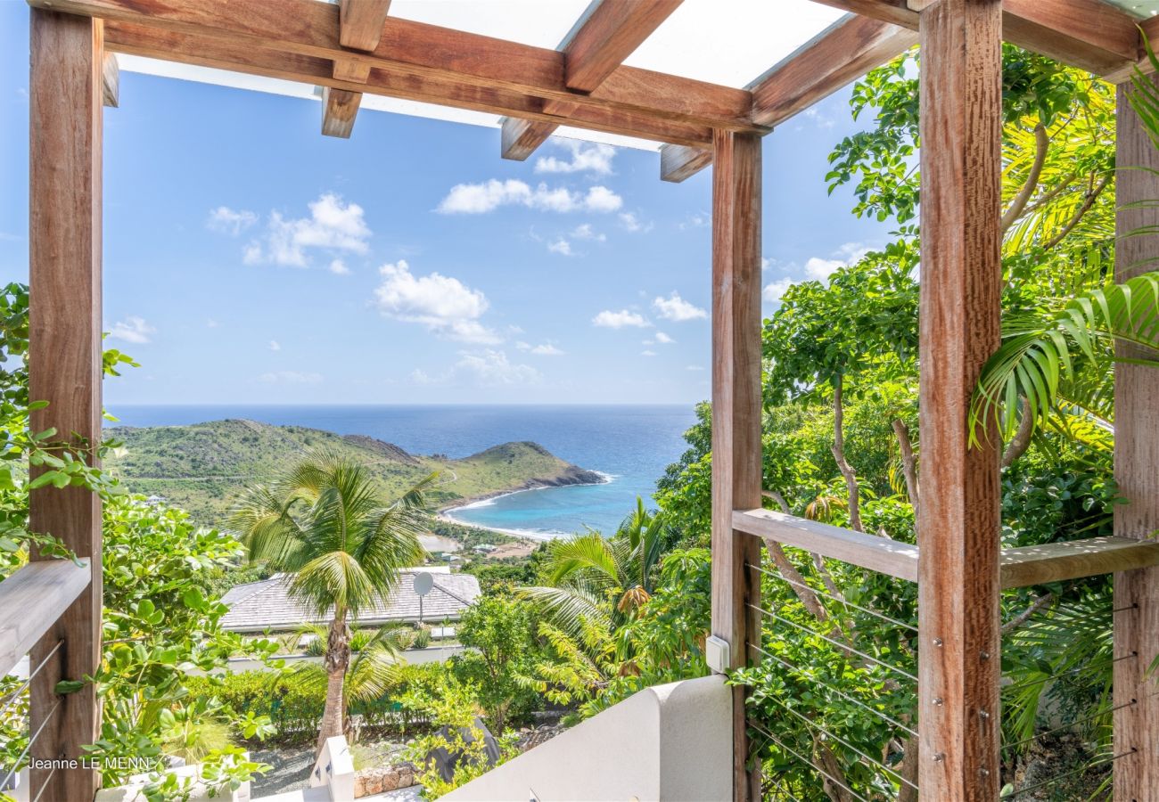 Villa in Saint Barthélemy - Villa Rose Dog St Barths 3-bd