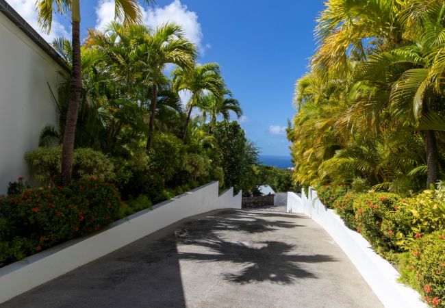 Villa in Saint Barthélemy - Villa Bellissima St Barths 1-bd Villa in Saint Barthélemy - Villa Bellissima St Barths 1-bd