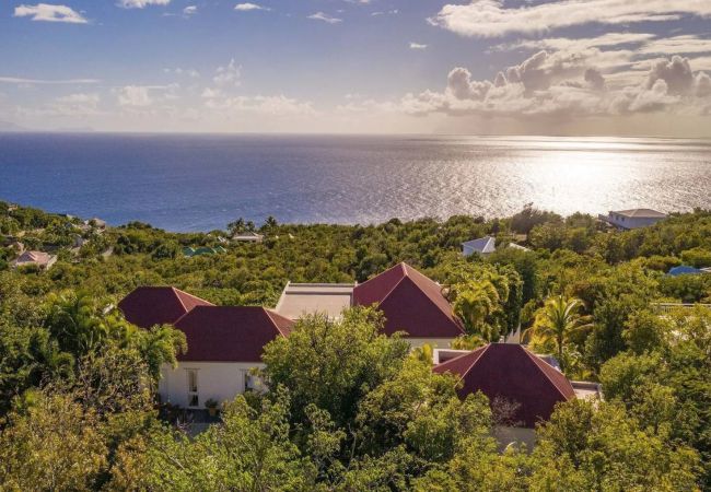 Villa in Saint Barthélemy - VILLA BELLISSIMA ST BARTHS 1-BD