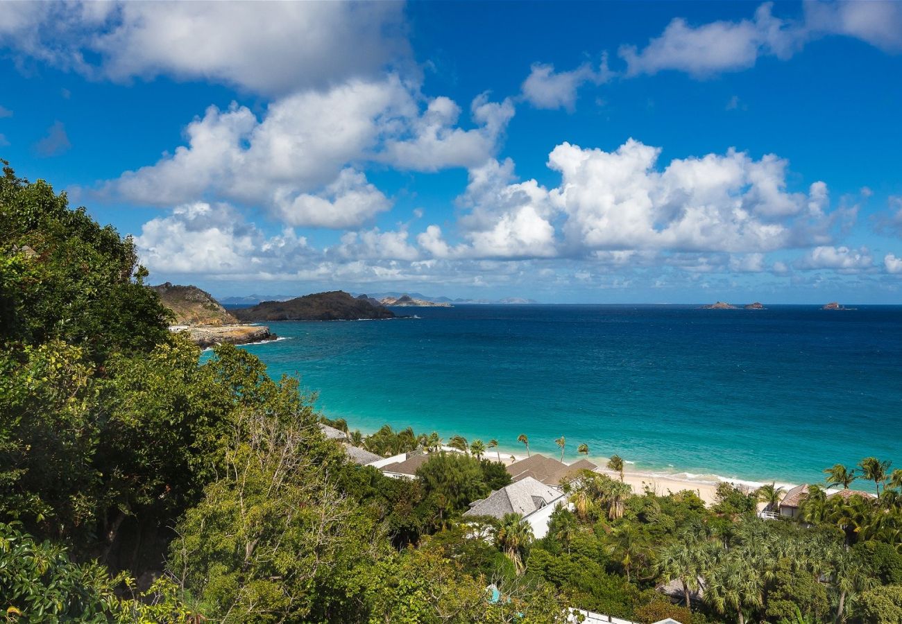 Villa in Saint Barthélemy - Villa Acai St Barths 3-bd