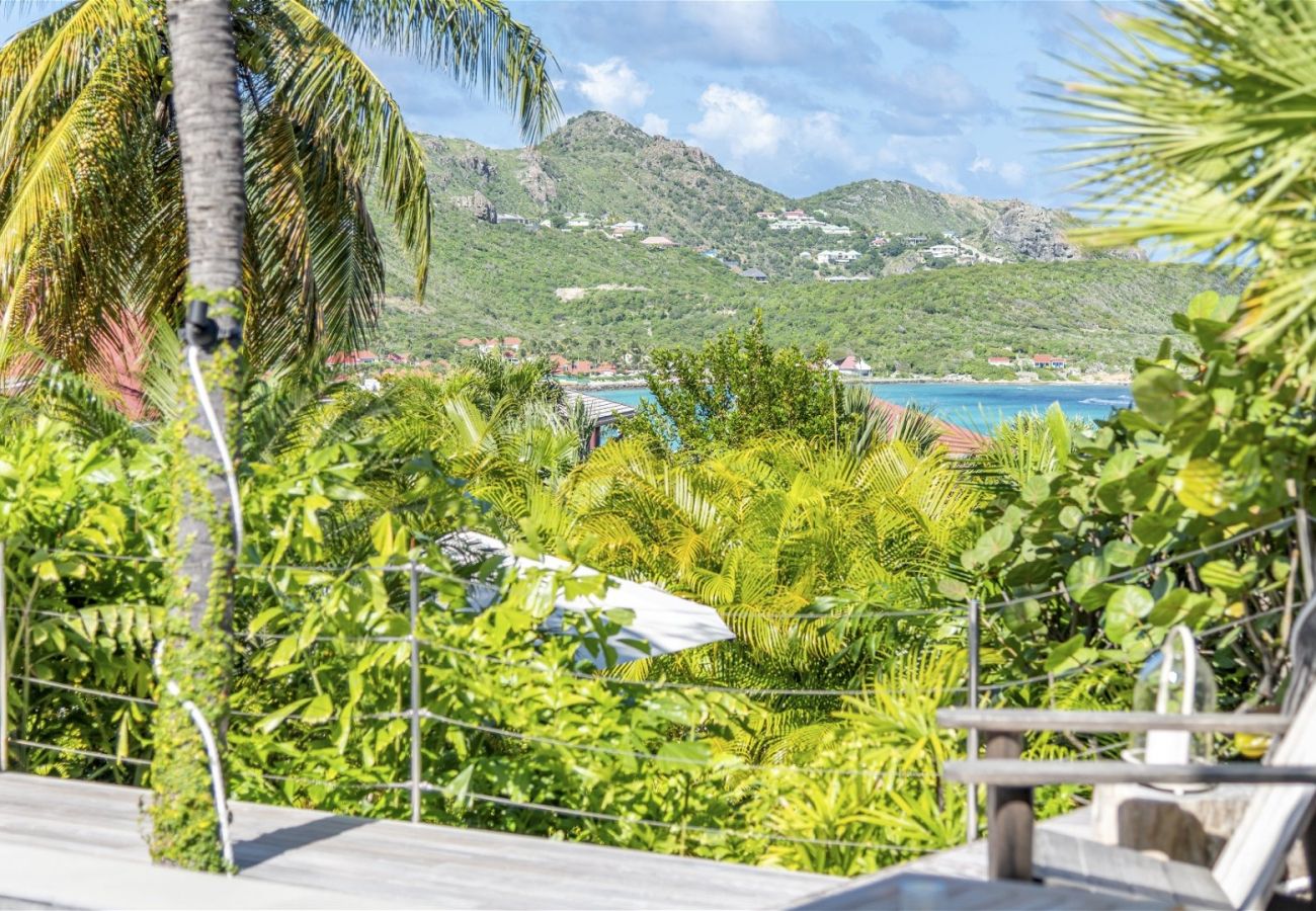 Villa in Saint Barthélemy - Villa Aliza St Barths 1-bd