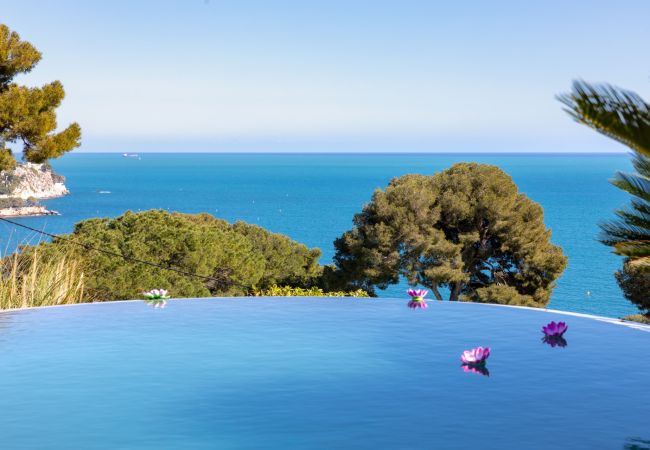 Villa in Eze - Villa Panorama Eze French Riviera 5-bd Villa in Eze - Villa Panorama Eze French Riviera 5-bd