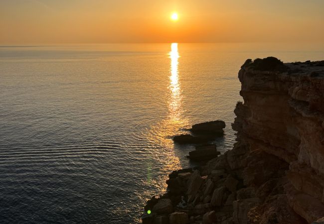 Villa in Ibiza - Villa 4 Palms Ibiza 6-bd Villa in Ibiza - Villa 4 Palms Ibiza 6-bd