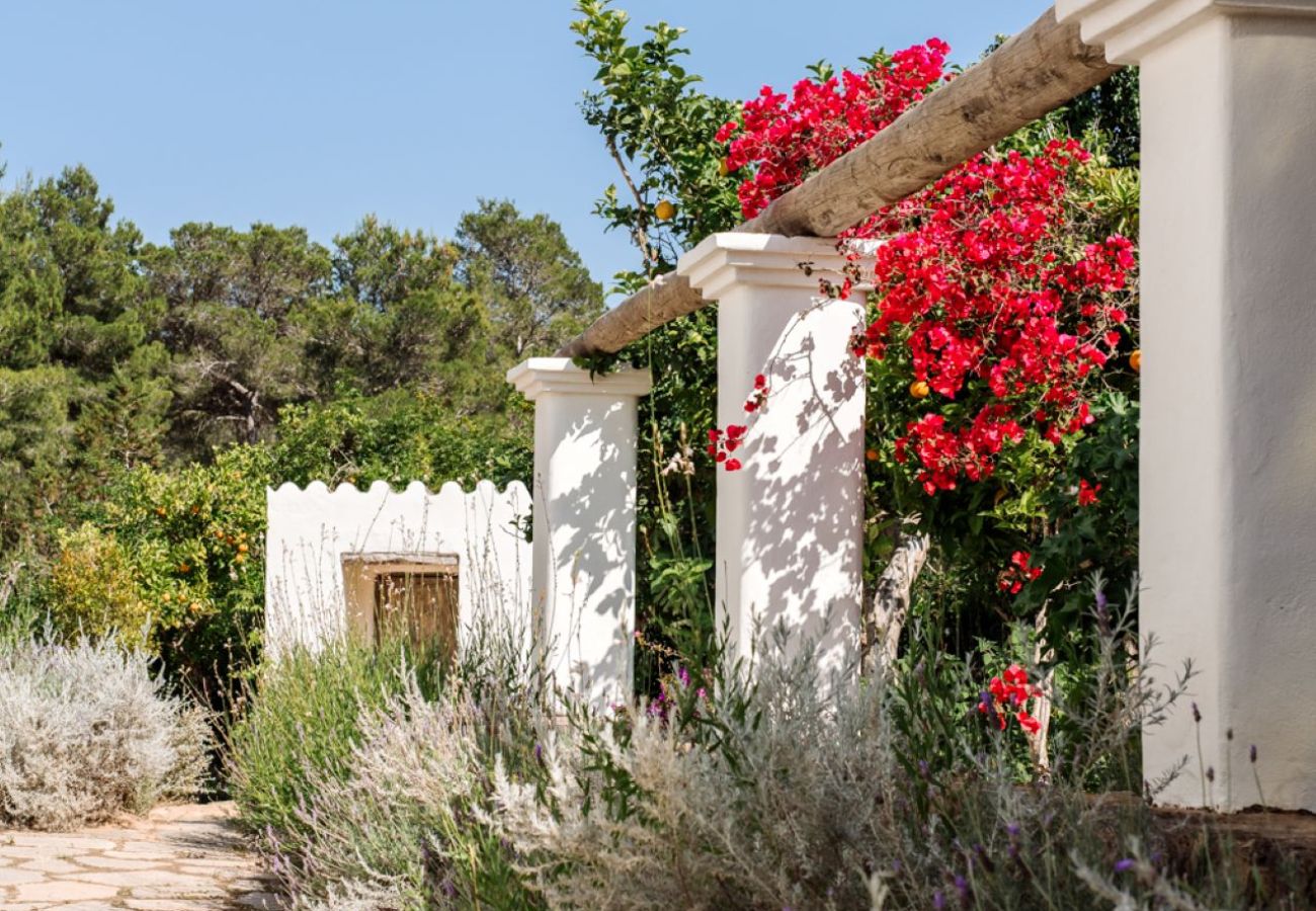 Villa in Sant Llorenç de Balafia - Villa San Lorenzo Fincadelica Ibiza 9-bd
