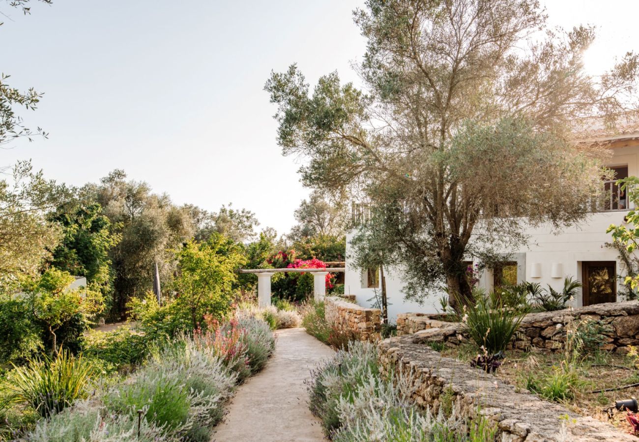 Villa in Sant Llorenç de Balafia - Villa San Lorenzo Fincadelica Ibiza 9-bd