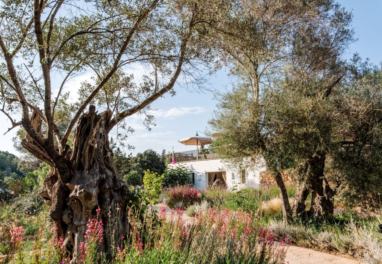 Villa in Sant Llorenç de Balafia - Villa San Lorenzo Fincadelica Ibiza 9-bd