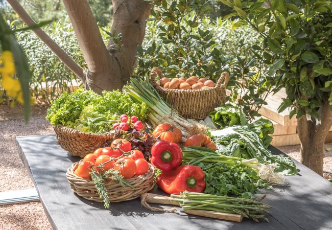 Villa in Ibiza - Villa Can Nemo Ibiza 6-bd Villa in Ibiza - Villa Can Nemo Ibiza 6-bd