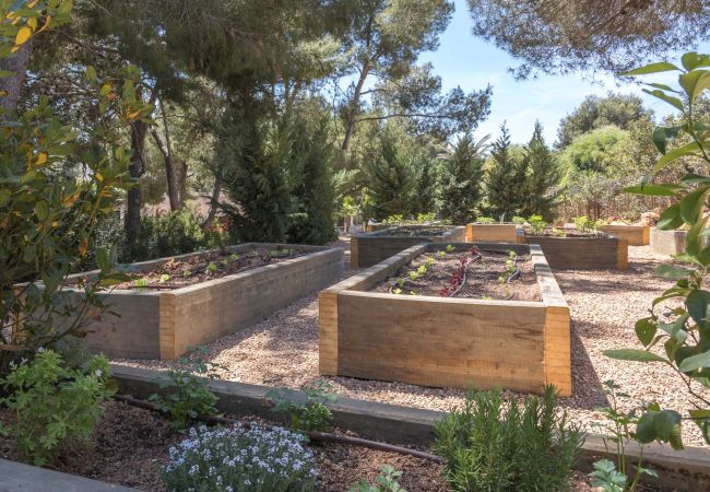 Villa in Ibiza - Villa Can Nemo Ibiza 6-bd Villa in Ibiza - Villa Can Nemo Ibiza 6-bd