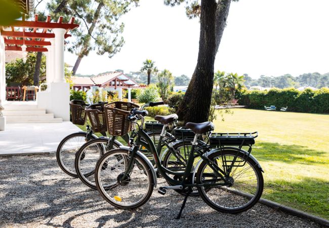 Villa in Soorts-Hossegor - Maison Les Bords du Lac Hossegor Landes 7-bd Villa in Soorts-Hossegor - Maison Les Bords du Lac Hossegor Landes 7-bd