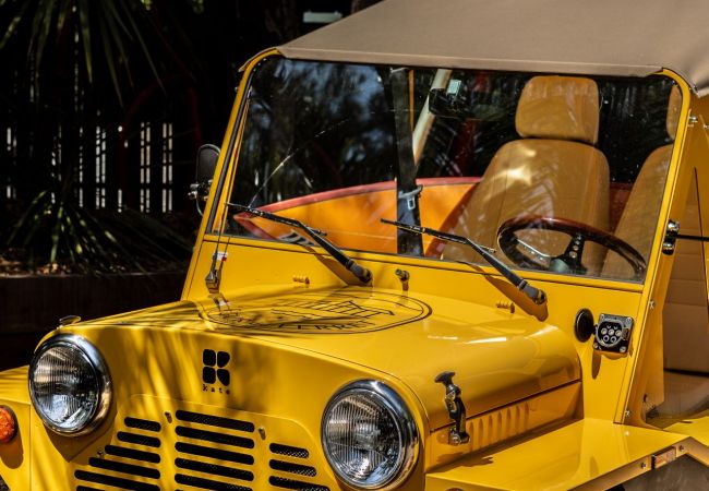 Villa in Lège-Cap-Ferret - Villa Le Coeur du Ferret Bassin d'Arcachon 8-bd Villa in Lège-Cap-Ferret - Villa Le Coeur du Ferret Bassin d'Arcachon 8-bd